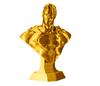 BioFusion inca gold